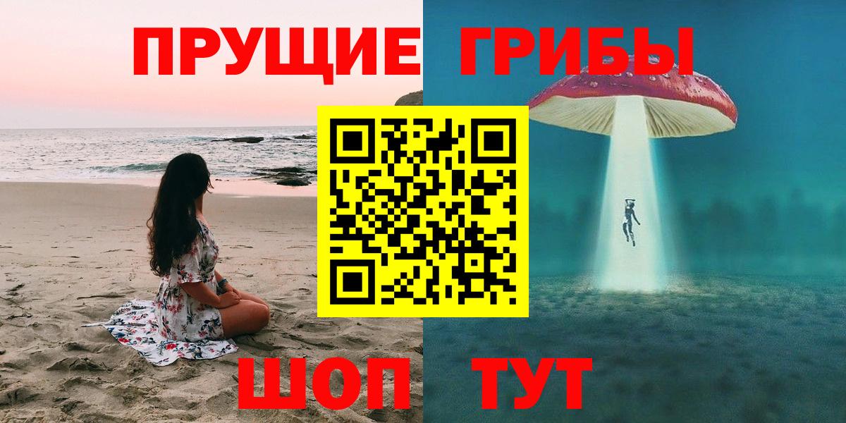 Псилоцибиновые грибы Psilocybe Кирово-Чепецк